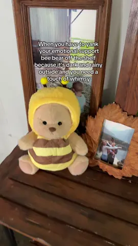 YOU, you’re coming with me!!!!  Bumblina was not harmed during the making of this video 🐝💛✨ #whimsy #bee #teddybear #handmade #adorable #rainyday #shrek  