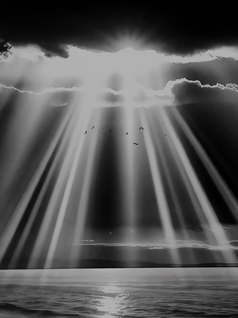 #darkaesthetic #blackandwhite #aestheticvideo #mood #feelings #nature #lonliness #youarenotalone #silence #forest #foryourpage #fyp 