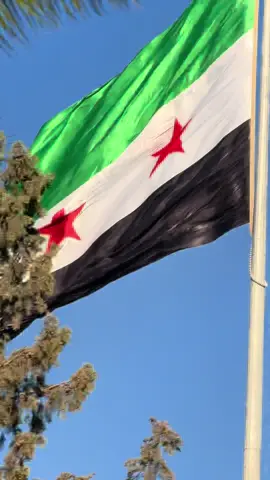 UPDATE‼️ the new flag is here (check my pinned tt so you see the old version)#🇸🇾 #syria 