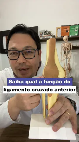O ligamento cruzado anterior (LCA) é crucial para a estabilidade do joelho, especialmente em movimentos de rotação e deslocamento lateral. Ele impede que a tíbia (osso da perna) se mova para frente em relação ao fêmur (osso da coxa) e auxilia no controle dos movimentos rotacionais do joelho. Uma lesão no LCA pode levar à instabilidade do joelho, dificultando atividades como correr, saltar e mudar de direção.  Funções do LCA: Estabilidade anterior: Impede o deslizamento da tíbia para frente em relação ao fêmur.  Controle rotacional: Ajuda a manter o alinhamento correto do joelho durante movimentos de rotação, prevenindo lesões.  Propriocepção: Envia informações ao cérebro sobre a posição do joelho no espaço, auxiliando no controle dos movimentos.  Importância: Sem o LCA, o joelho pode ficar instável, especialmente em atividades esportivas que exigem movimentos rápidos e mudanças de direção.  A instabilidade causada pela lesão do LCA pode levar a lesões adicionais em outras estruturas do joelho, como meniscos e cartilagem.  Em casos de ruptura completa do LCA, a cirurgia de reconstrução pode ser necessária para restaurar a estabilidade e função do joelho. #joelho #lca #dor #dornojelho #fisioterapia #saúde 
