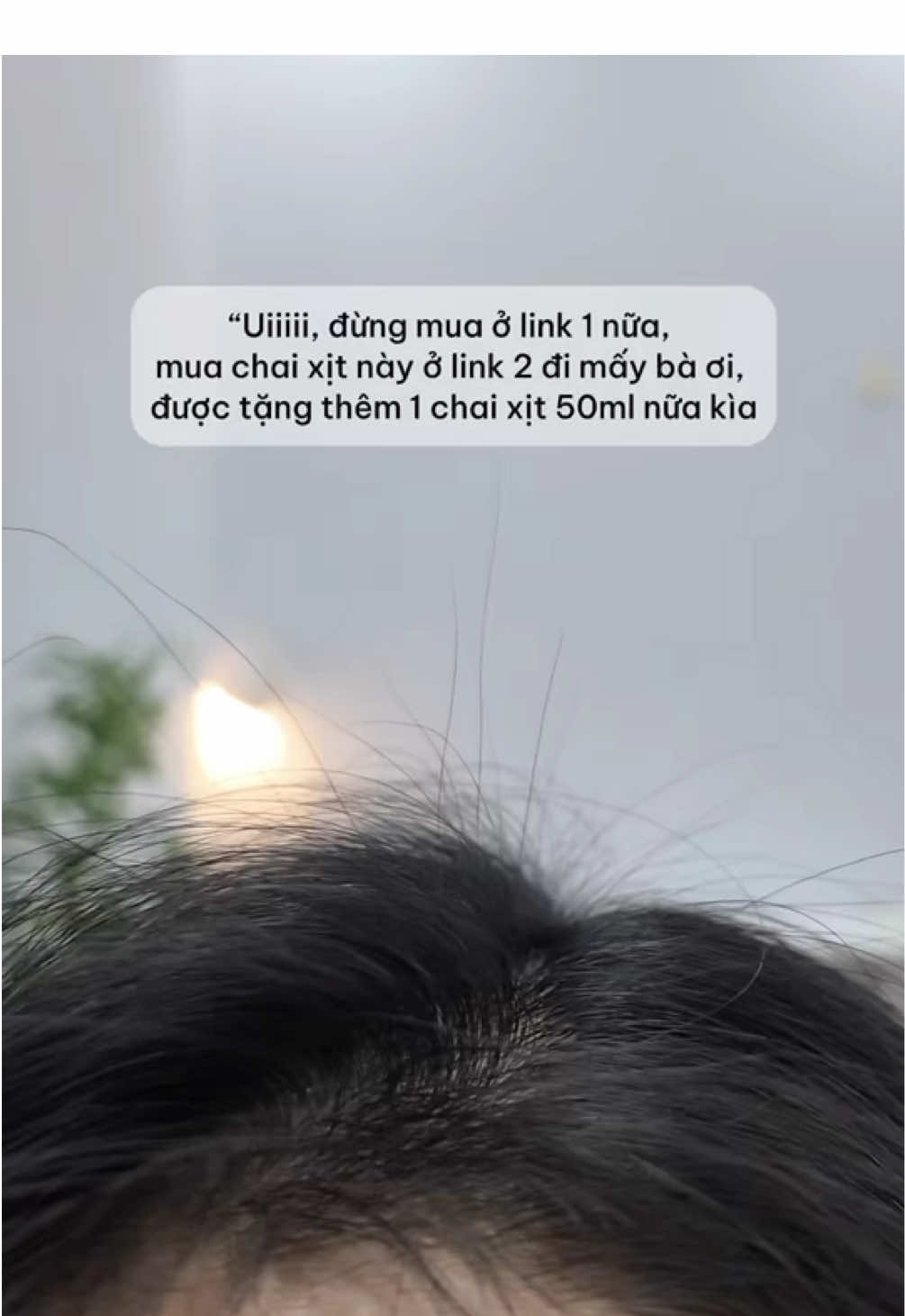 #per231 #duongtoccungper #haircare #chamsoctoc #xitbuoivijully #vijully 