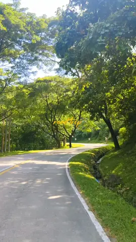 Sipalay - Hinobaan Road❤️👌