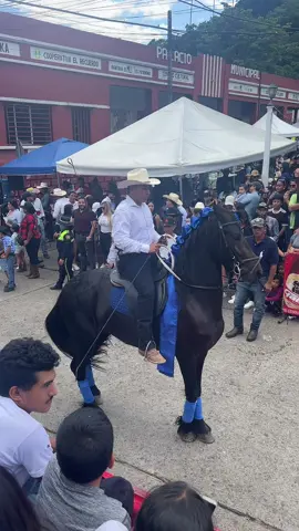 Bamos a ver el desfile y no hablo de caballos 😁😅😅😅