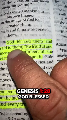 Flexing The Word! God first! 🙏🏼 #God #iam #genesis 