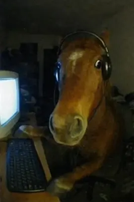 #fyp #fypp #viral #viraltiktok #viralvideos  escondanseeeeeeeeeeeeeeeeeeeeeeeeeeeeeeeeeeeeeee
