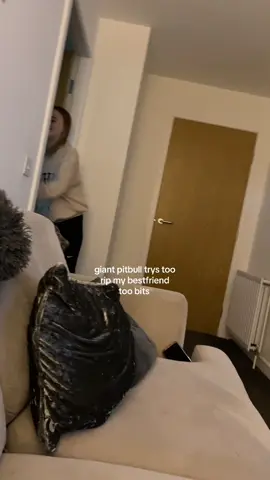 Throwback too when holly was terrified of bean 