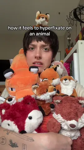 I might like foxes idk guys. Genuinely don’t know (this isn’t half of the collection it was just what was near me at the moment.) #fyp #trend #xybca #fox #hyperfixated #foxes 