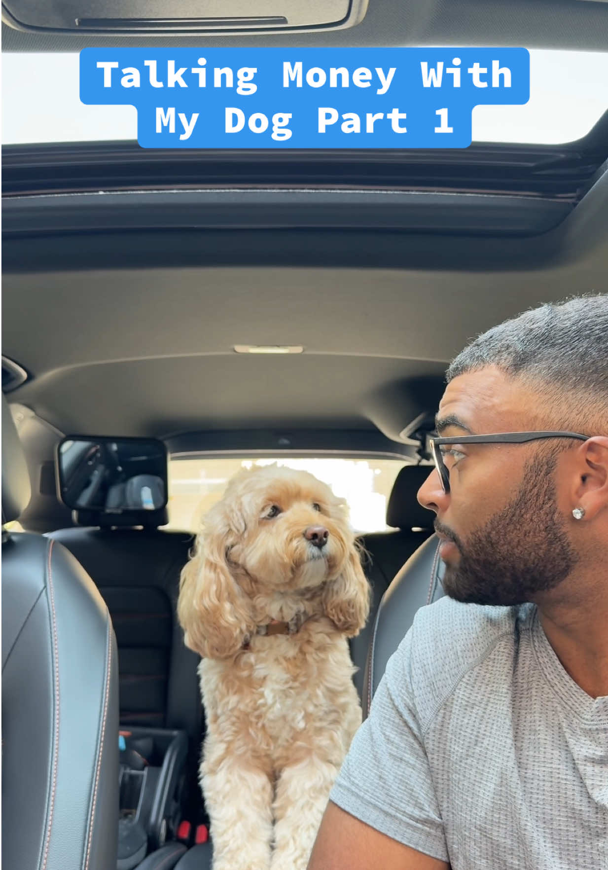 #stitch with @Coinbase  Even dogs should have the money talk 🐶💰 #coinbasepartner #coinbase #dogs 