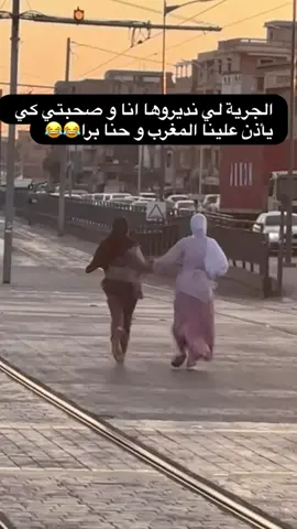 #algeria #🇩🇿 #funny 