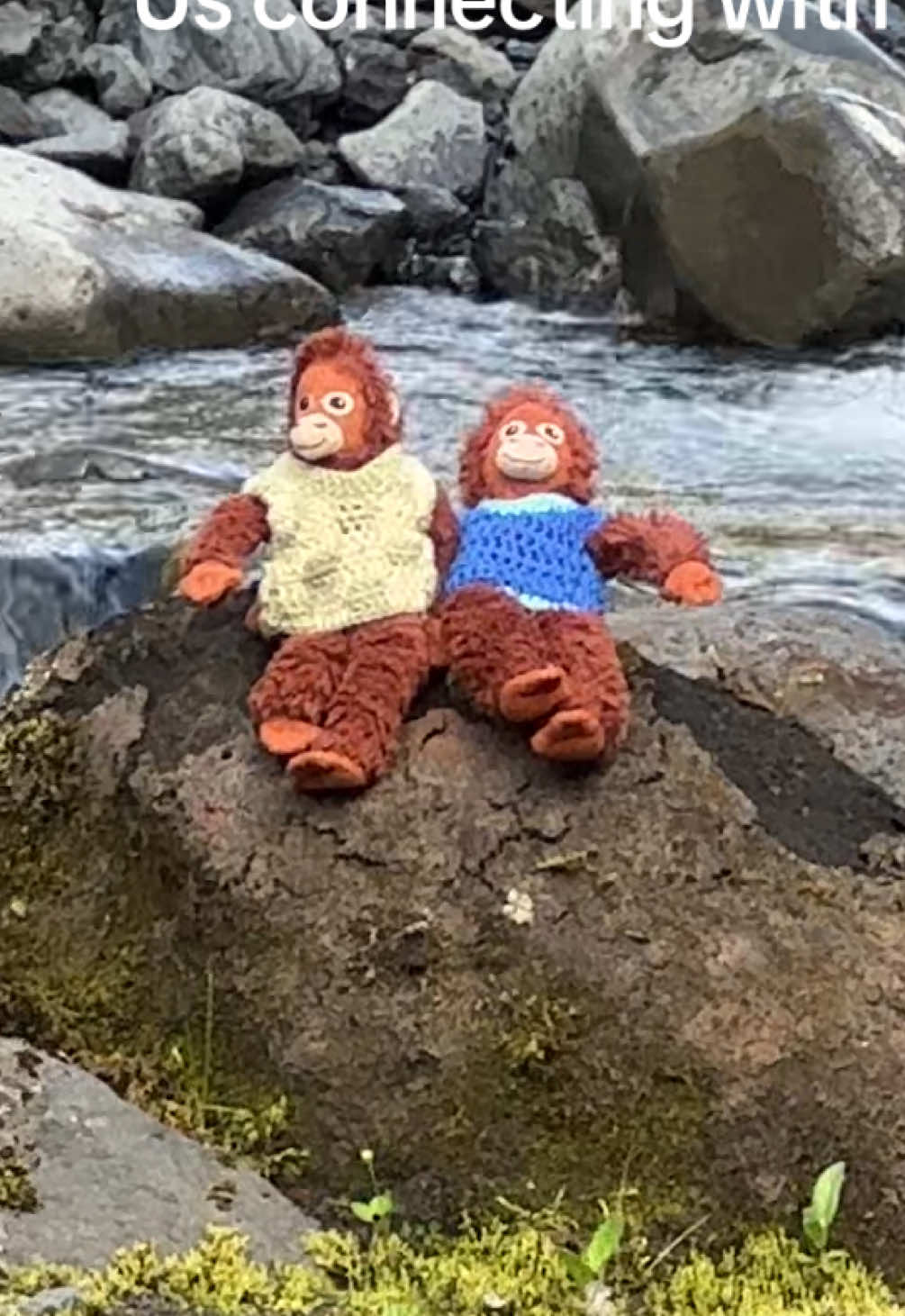 One day we will travel the world together  #us #meandyou #nature #travel #together #pookie #ikeamonkey #fyp 