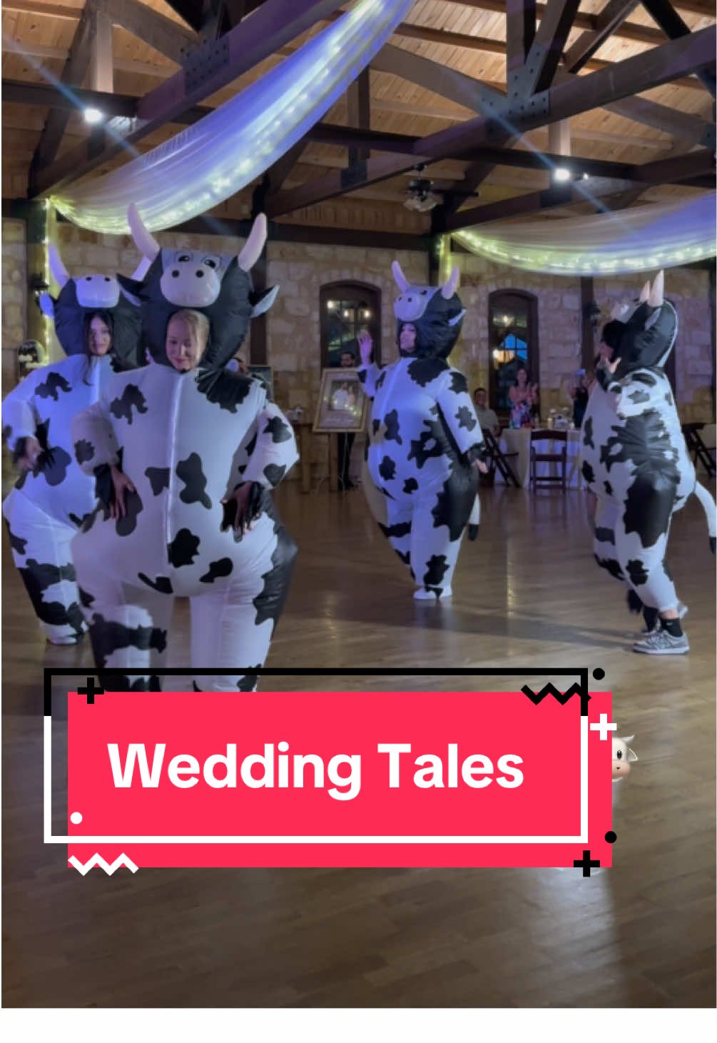No cows were harmed 😅😂#wedding #weddingtiktok #weddingday #creatorsearchinsights 