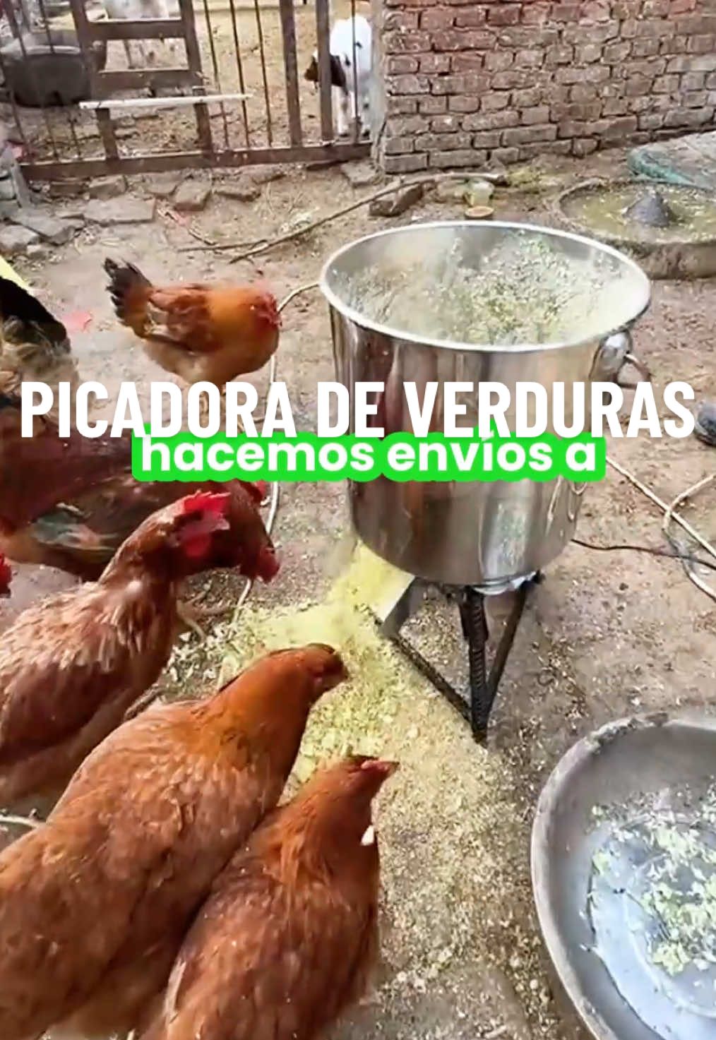 NUEVO INGRESO ✅ PICADORA DE VERDURAS ELÉCTRICA ⚡️ IDEAL PARA LA ALIMENTACIÓN DE POLLOS 🐥  Hacemos envíos diarios a todo el Perú 🇵🇪  #picadorelectrico #peru #pollos #verduras 
