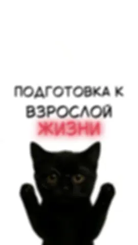 Гайд на Арбуз #рекомендации #врозлаяжизнь 
