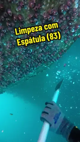 Limpeza de cracas 🦐 espatula manual 💪🏾 manutenção Hélice naval #ProfessionalDiving #MarineLife #barnacles #work #ocean #satisfatório #barnacleremoval #limpeza #ship #asmr  @DimasDiver  @DimasDiver  @DimasDiver 