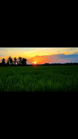 hờn trách con đò 🥀🖤#lofi #hoanghon #xuhuong #binhyen #chill #tamtrang #travinh 