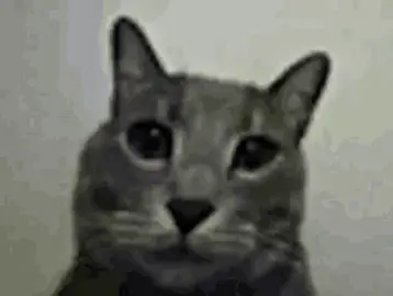 #trolleado #troleado #humor