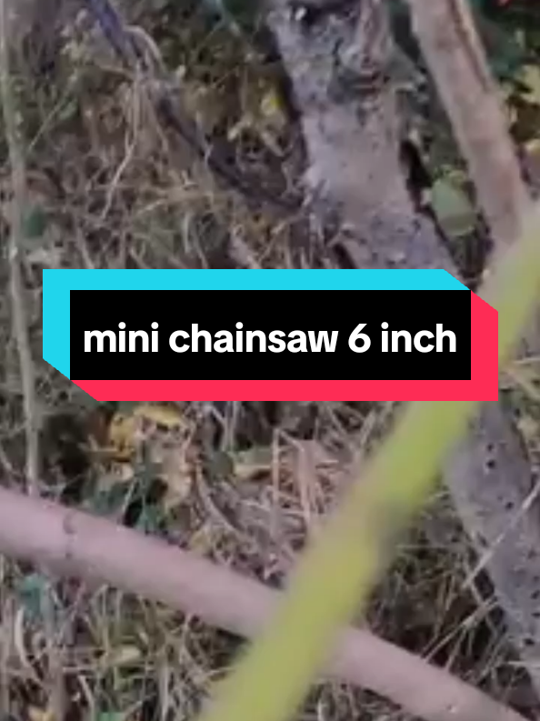 Mini Chainsaw 6 inch ini adalah solusi praktis buat kamu yang butuh alat potong ringkas tapi powerful! Cocok buat memotong ranting, kayu kecil, atau DIY project di rumah. Dengan desain ergonomis dan berat super ringan, enggak bikin pegal meski dipakai lama. Dilengkapi baterai rechargeable dan mata pisau tajam, siap bantu pekerjaanmu jadi lebih cepat dan efisien. Yuk, klik **keranjang kuning** sekarang dan rasakan kemudahannya! 🛒🔥   *Note: Produk ini bekerja optimal untuk kebutuhan harian, bukan untuk pemotongan heavy-duty ya!* #minichainsaw #cordlesschainsaw #gergajirantaimini 