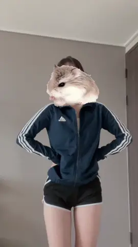 옥수수맛 해바라기씨