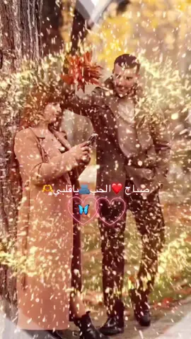 ❤️❤️❤️❤️❤️❤️❤️❤️🫂🫂🫂🫶🫶#❤️❤️❤️❤️❤️❤️❤️ #عباراتكم_الفخمه📿📌 #نبض_قلبي #👏🏻👏🏻🎼🎻💃 #tiktok  