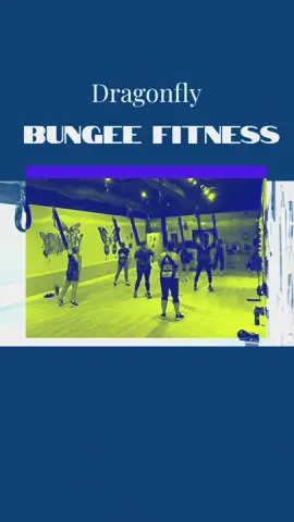 look at my dragonflies go!!!! #fyp #bungeefitness #bungeejumping #workout #yoga #dragonfly #innerchildtherapy #houdini #dualipa #rockledge 