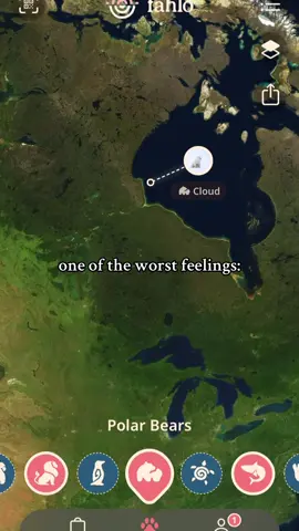 bro Cloud ☹️ #fahlo #tracker #relatable #polarbear #fyp #animal #died 
