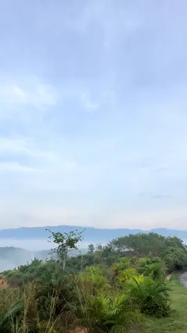 MasyaAllah.. Kiri kanan wei.. Ni kalau malam hujan, lagi tebai awan ni… #fyp #tiktokmalaysia #balingseamist #ululegong #awankapet #pecintaalam 