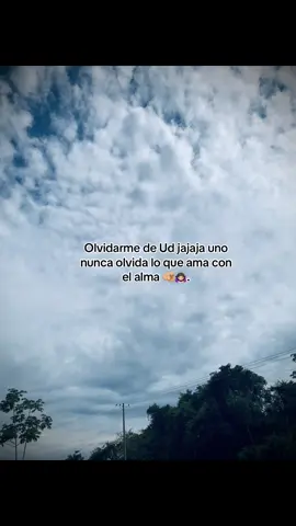 #videoviral #fyñシ #paratodosdetiktok♡ 
