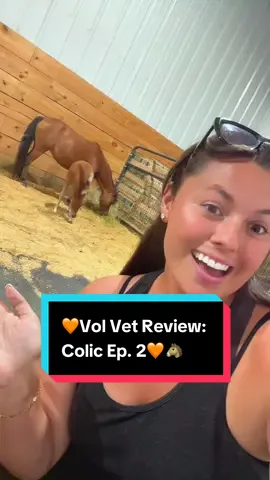 🧡Vol Vet Review: Colic Ep. 2🧡🐴 #equinevet #horsecare #colic #horsecolic 