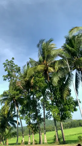 #smashthaiconcept🇹🇭 #streetbikeconceptphilippines🇹🇭🇹🇭 