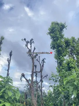 ❤️‍🩹 #LalitThakuri #viral #foryou #foryoupagе #flpシ 