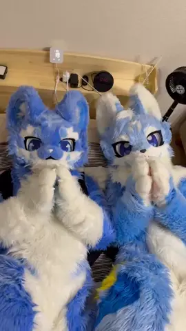 まねっこ兄弟✨#furry #fursuit #けもの着ぐるみ 