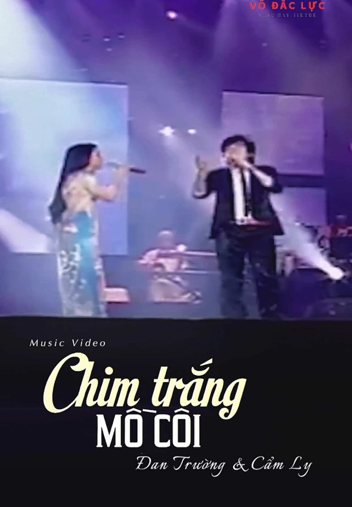 Chim Trắng Mồ Côi || Đan Trường & Cẩm Ly #nhactheoyeucau #nhachaymoingay #nhachay #nhachaytiktok #nhactrutinh #nhacquehuong #vodacluc #vodaclucdt66 