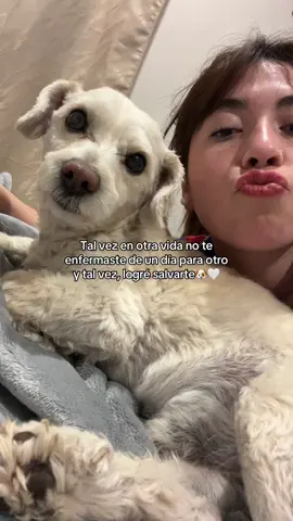 Te amaré por siempre 🤍