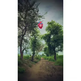 اپنی من پسند عورت کیلیئے مرد اپنے سارے شوق چھوڑ دیتا ہے     اور پھر وہی گھٹیا عورت کسی اور کیلیئے اس مرد کو چوڑ دیتی ہے.                                                             #100kviews #viewsproblem #unfreezemyacount #bestwords #bestview #poetry #treanding #panjabi 
