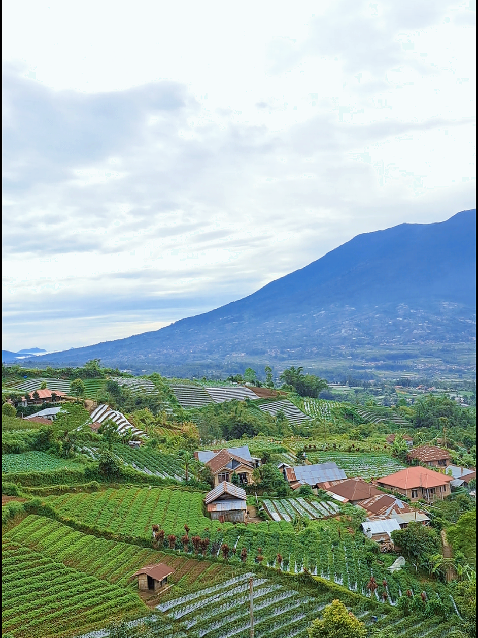 #puncaksikadunduang 