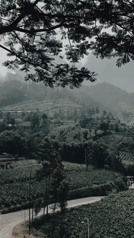 #CapCut #fyp #fouryou #berandatiktok #berandafyp #rose #soundviral 