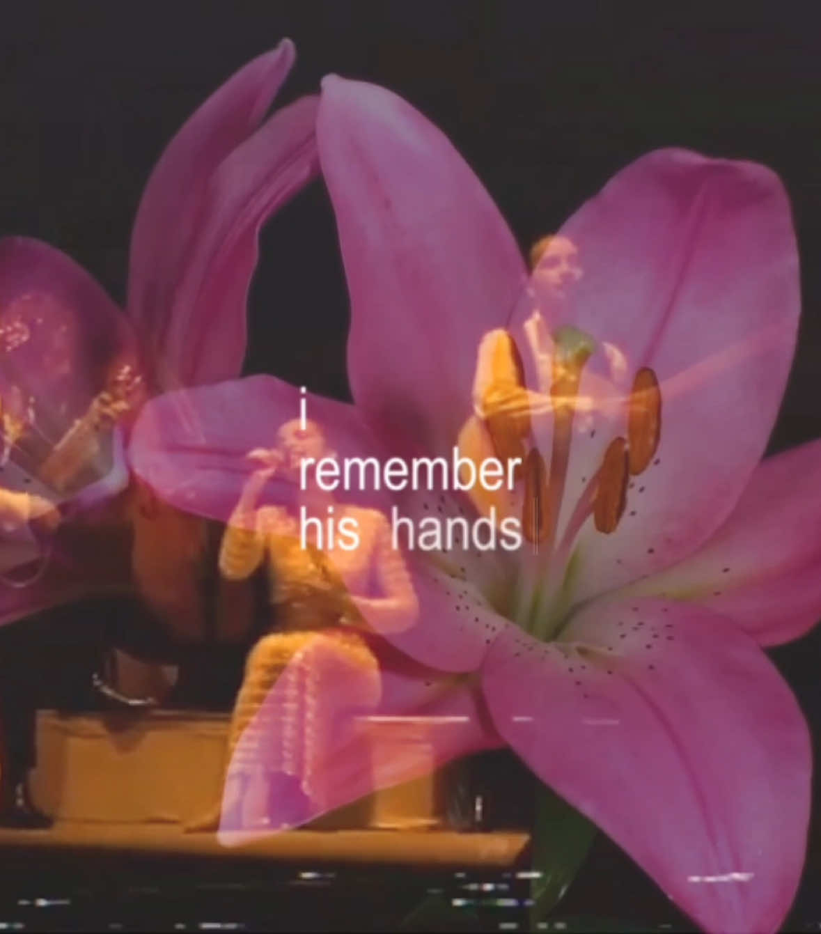 like a tattoo - sade (1992) | my favorite singer forever n ever. #likeatattoo #sade #lovedeluxe #sadeedit #smoothoperator #isitacrime #music #lyrics #foryou #parati #jazz #90s #jazzmusic #90smusic #throwback 