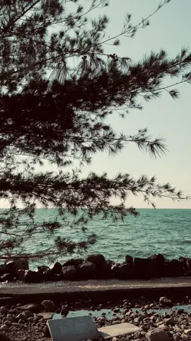 #diewithasmile#ladygaga#brunomars#ladygagamakanpecellele#brunomarsnaikgunungsumbing