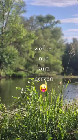 moin moin moin #Meme #MemeCut #CapCut #angel #singlelife #fy #fyp #tik_tok #moin #kurznerven