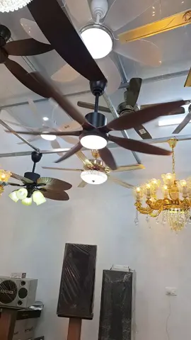 quạt trần 6 cánh nhựa abs #tongkhoquatdenhuongtu #tongkhoquatdenhuongtu #quattran6canh #xuhuong 