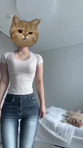 고양이 두마리 #fyp 