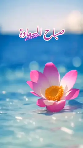 لم يكنْ رسولُ اللهِ صلى الله عليه وسلم يَدَعُ هؤلاء الدعواتِ حينَ يُمسي، وحينَ يُصبِحُ :اللهم إني أسألُك العافيةَ في الدنيا والآخرةِ ، اللهم إني أسألُك العفوَ والعافيةَ في ديني ودنياي وأهلي ومالي ، اللهم استرْ عورتي وآمنْ روعاتي ، اللهم احفظْني مِن بين يديَّ ومن خلفي وعن يميني وعن شمالي ومن فوقي ، وأعوذُ بعظمتِك أن أُغتالَ مِن تحتي.🌹🌿#صباحكم_سعاده #اللهم_بك_اصبحنا #اصباحنا_و_اصبح_الملك_لله #اذكروا_الله_يذكركم #الابذكر_الله_تطمئن_القلوب #صلوا_عليه_وسلموا_تسليما #صباح_الخيِر #صباح_الورد #صباحكم_معطر_بذكر_الله #صباح_تفاؤل #صباح_الامل #صباحكم_أحلى_صباح #صباح_الحب #صباح_السعادة #صباحكم_معطر_بذكر_الله💚🌹🌿🌷😍🌸🙏 