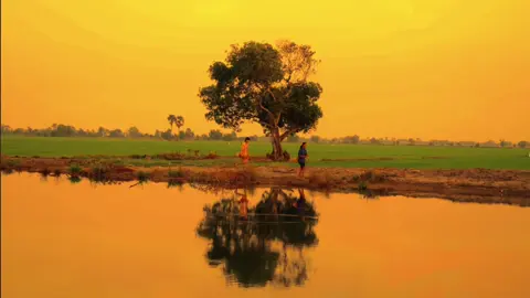 Tuổi thơ ai đã từng chơi trái này điểm danh nghen 🤭🤭 Đây là đoạn cắt ngắn của video “ĐỦ LÔNG ĐỦ CÁNH 2” mời mng qua YOU TÉP để xem full trọn vẹn nội dung video nhé 🫶🏻✨ #dulongducanh #nacnai 