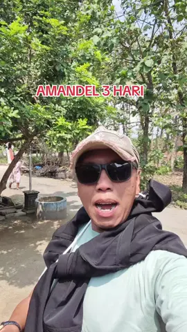 propolis sm herbal kusus amandel #propolis  #herbalkesehatan  #propolissm  #propoliskususamandel 