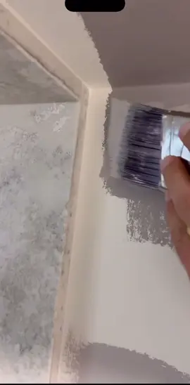 #NexFix #ProfessionalPainting #CleanJob #HandymanSanDiego 