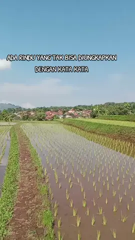 RADIO MUSIC🎵🇲🇨 ada rindu yg tak bisa diungkapkan dgn kata