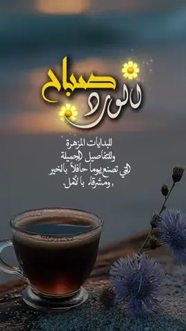 #صباحكم_أحلى_صباح🌹🌹 