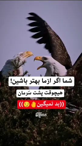 ها پالوان #پشتون_تاجیک_هزاره_ازبک_زنده_باد 