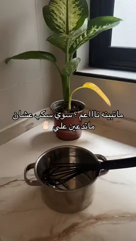 #الحمدلله_دائماً_وابدا #ماشاءالله_تبارك_الله 