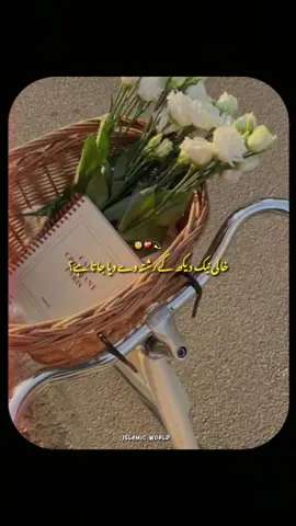 جب رشتوں کی بنیاد لالچ پر رکھی جائے….😇💫❤️‍🩹#goviral #islamicworld #aesthethic_sk08 #fypシ゚ #islamic_video #islamic_status #1millionaudition #newaccount #trending #IslamicReminder #IslamicMotivation #burhantv #peerajmalrazaqadri @TikTok 